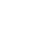 bees