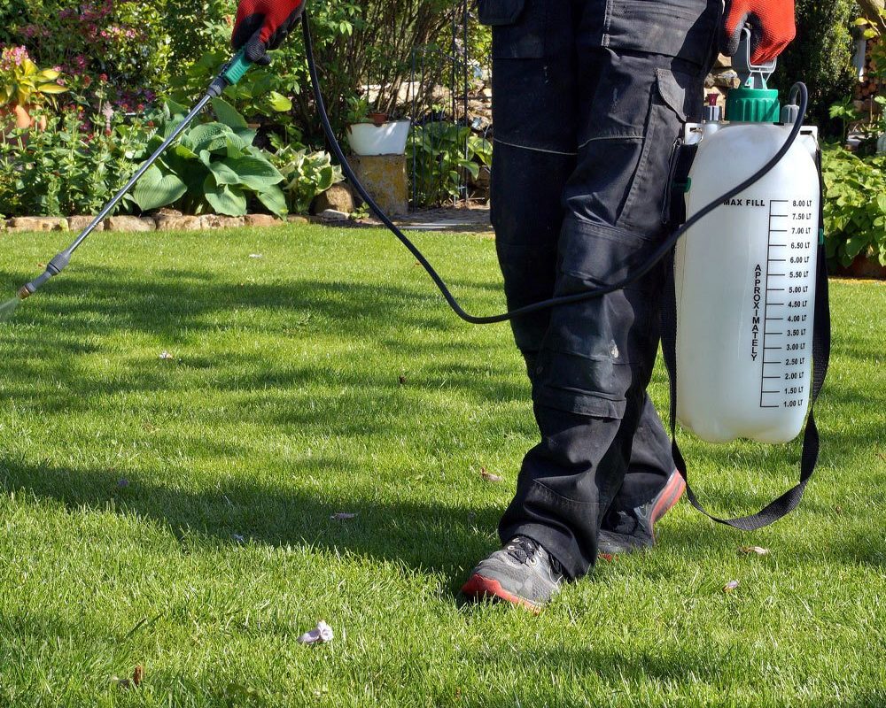 Man spraying fire ant treatment on grass