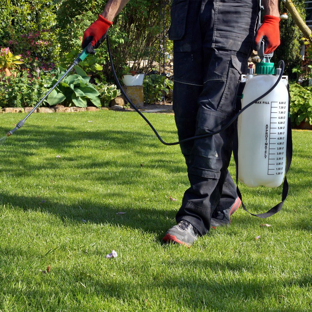 Man spraying fire ant treatment on grass