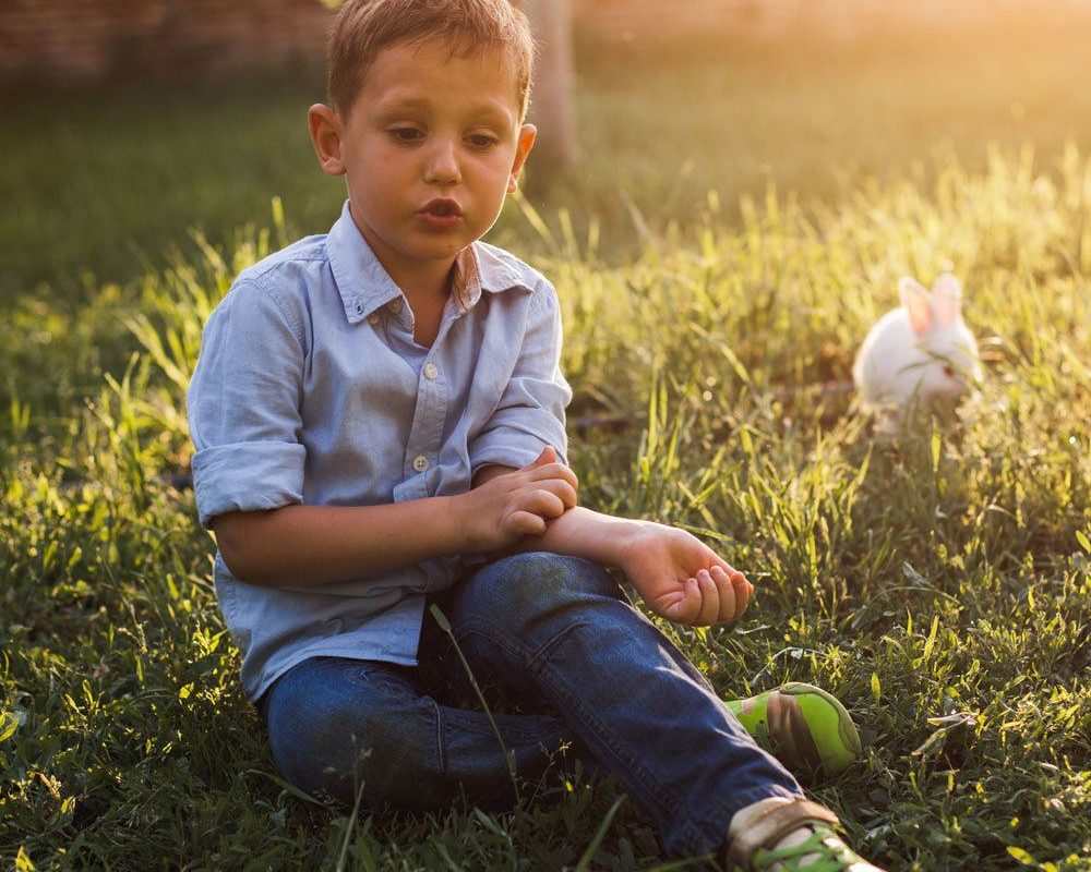 Little boy sitting on grass and itching his arm from mosquito bites