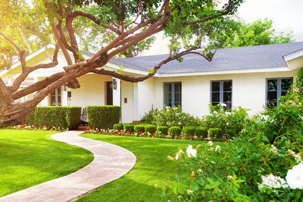 a large lawn in front of a house House Exterior