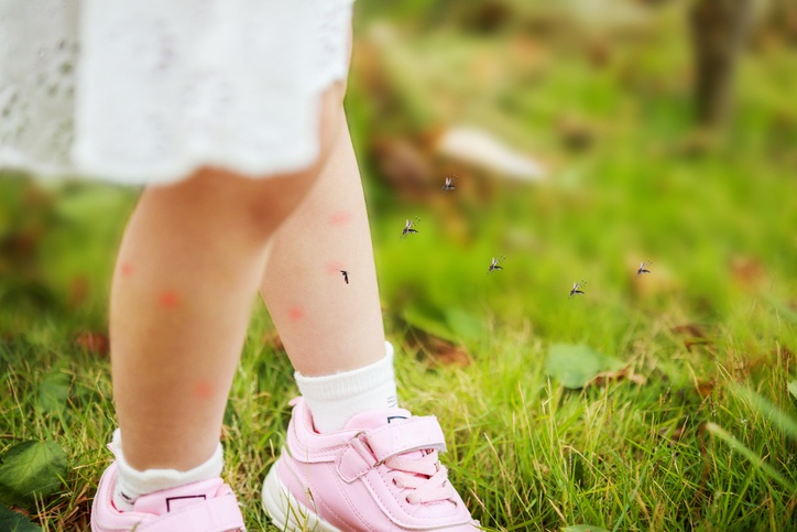 mosquito control services