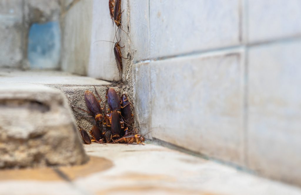 a close up of a stone building